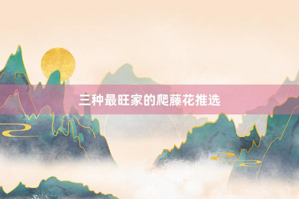 三种最旺家的爬藤花推选