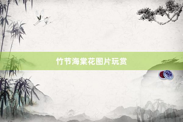 竹节海棠花图片玩赏